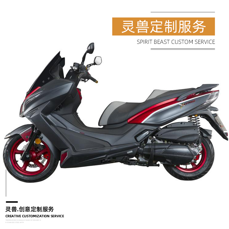 Z015 SPIRIT BEAST  CT250   귡Ŷ GUANGYANG ROWING 300 ̷    ƽ մϴ.