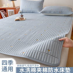New Waterproof Home Bedroom Mattress Pad, Thin Sleeping Pad for Dormitory Students, Single Mattress, Bedding, Mattress Pad, Soft Cushion