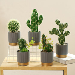 Nordic Creative Artificial Plant Cactus Ornament Succulent Potted Decoration Green Plant Supermarket Display Fake Flower Small Bonsai