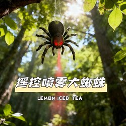 Remote Control Spray Spider Children's Infrared Simulation Novelty Electric Toy Soft Rubber Insect Cross-Border Scary Toy