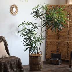 Nordic Style Artificial Peacock Tree Large Floor-Standing Potted Plant Hotel Lobby Restaurant Decoration Office Fake Tree