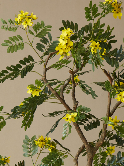 180cm 人工観葉植物 - 室内植木鉢、黄色のニセアカシアの花