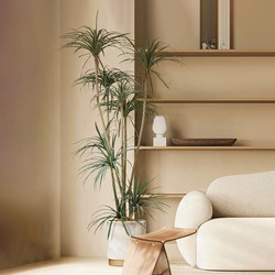 Simulated Green Plants, Indoor Artificial Trees, Large Dragon Blood Trees, High-End Bionic Plants, Floor-Standing Potted Plants, Landscape Decoration Ornaments