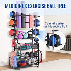 Sports and Fitness Equipment Storage Rack, Movable Yoga Equipment Storage Rack, Medicine Ball, Dumbbell, Barbell Plate Storage Rack