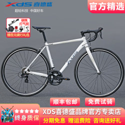 Xidesheng Rc200 Road Bike Entry-Level Leisure 14-Speed Shimano Transmission Aluminum Alloy Frame Road Bike