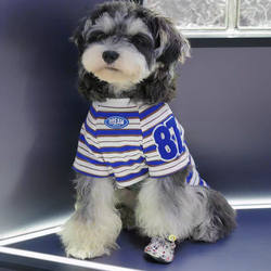 New Stylish Pet Dog and Cat American-Style Striped T-Shirt, Thin for Spring and Summer, Schnauzer, Teddy, Small Dogs~ Trendy
