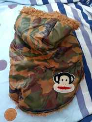 Free shipping for autumn and winter special price two-legged pet cotton coats, big-mouthed monkeys, polka-dot monkeys, dog clothes, pet clothing