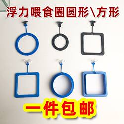 Fish Tank Feeder Aquarium Fish Food Feeder Feeding Ring Small Fish Tropical Peacock Feed Buoyancy Feeder