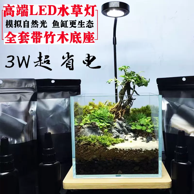 小型鱼缸led照明灯碧水风和迷你简约创意生态瓶水草植物雨林