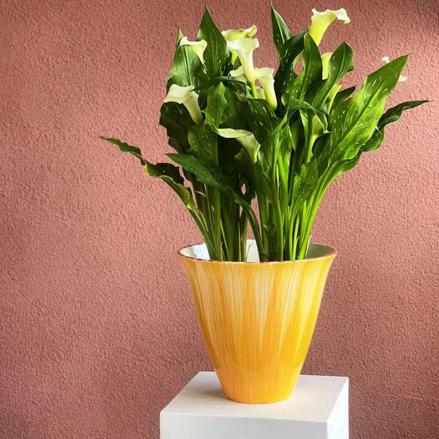 Simple flowerpot Cymbidium orchid Phalaenopsis Large diameter high-end flower pot plant potted tall bonsai Internet celebrity flower pot