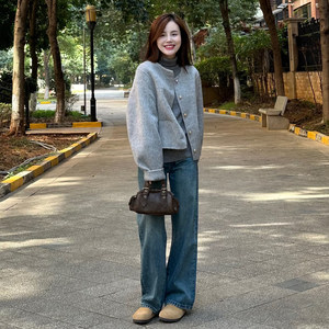 Lazy style gray short wool jacket for women in autumn and winter new small single-breasted casual and versatile wool top