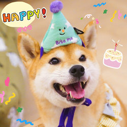 Pet Cute Birthday Hat Toy Photo Props Dog
