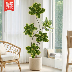 Artificial Green Plant Rubber Tree Living Room Decoration Ornament Artificial Plant Golden Banyan Indoor Large Potted Floor-Standing Decoration