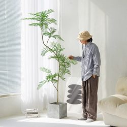 Jacaranda Artificial Green Plant Floor-Standing Potted Plant Bionic Plant Ornament Indoor Living Room Sofa Side Decorative Bonsai Fake Tree
