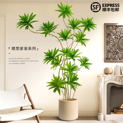 Simulated Green Plant Lily Bamboo Potted Plant Large Indoor Decorative Flower Ornament Living Room Floor-Standing Tree High-End Bionic Fake Plant