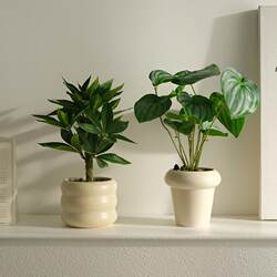 Simulated Plants, Scandinavian Decoration, Small Potted Plants, Office Living Room Desktop, Indoor Bonsai Ornaments, Bionic Fake Flowers and Green Plants