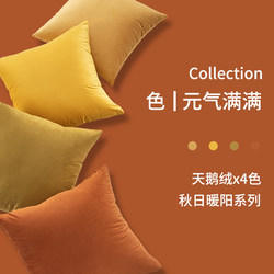 Nordic Style Velvet Oversized Pillow Cushion Backrest Pillowcase for Car, Office, Living Room, Sofa, Lumbar Pillow, Headboard