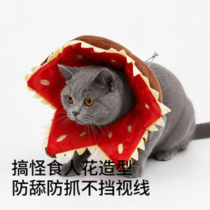 猫咪项圈伊丽莎白圈宠物食人花宠物头套怪奇物语防抓防舔可爱搞怪