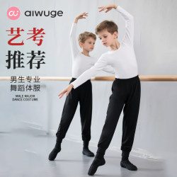 Dance Clothing for Boys, Autumn and Winter Long-Sleeved Tops, Pure Cotton Kidsren's Ballet Body Training Clothes, Chinese Dance White Suit