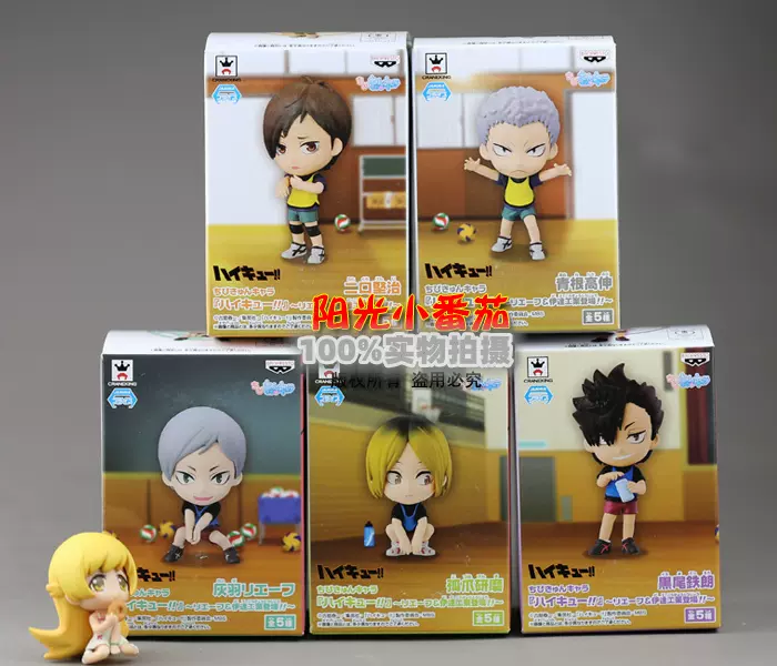 福利價 排球少年音駒高校中學篇及川徹研磨