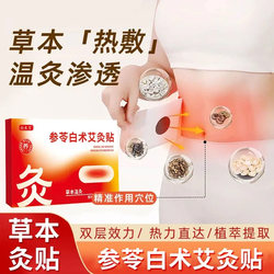 Shenling Baizhu Moxibustion Patch, Heating Moxibustion Patch, Mugwort Navel Patch, Hot Compress for Abdomen, Belly Moxibustion Hot Compress, Warming Patch