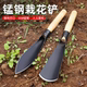Cauliflower small shovel to dig wild vegetables manganese steel outdoor digging artifact tool gardening household vegetable gardening shovel to catch the sea