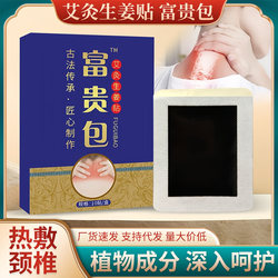 Herbal Moxa Patch for Neck and Shoulder Pain, Cervical Spine Patch, Lumbar Spine Patch, Moxa Heat Therapy Ginger Patch