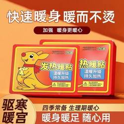 Self-Heating Warm Patches for Menstrual Pain Relief, Foot Warmers, and Cold Protection