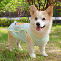 Shiba Inu, Dachshund, Bichon Frise, Corgi Clothes, Anti-Shedding, Sun Protection, Cool Dog Clothes, Spring and Summer Thin Anti-Dirt Vest