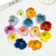 
Simulated poppy flowers ins style flower arrangement poppy fake flower wedding road guide home decoration hairpin diy accessories