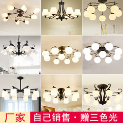 Chandelier Living Room Lamp Hall Bedroom Ceiling Lamp Modern Simple American Style Dining Room Replaceable Bulb Branch-Type Main Light Fixture