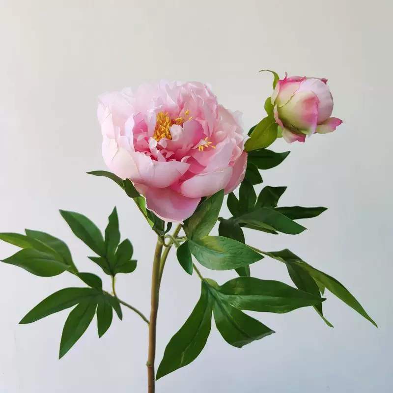 高档牡丹花仿真花手感芍药花绢花假花客厅摆设餐桌花插花 高档牡丹花仿真花手感芍药花绢花假花客厅摆设餐桌花插花