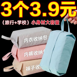 Underwear Travel Storage Bag, Suitcase, Underwear, Cosmetics, Socks Organizer Bag, Portable Waterproof Storage Bag