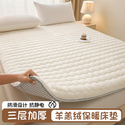 Winter Thickened Lamb Wool Mattress Tatami Floor Mat Soft Mattress for Student Dormitory Single Bed Home Bedroom Foldable Season