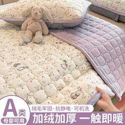 Winter Thickened Milk Velvet Children's Bed Protector Mattress Soft Pad Student Dormitory Single Coral Fleece Season