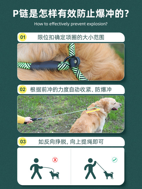 Dog traction rope P chain explosion -proof walking dog chain large ...