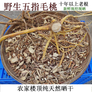 
Mountain five-finger peach, wild soil poria, Chinese medicinal materials, pure natural sun-dried fresh five-clawed dragon, Moh's soup spices