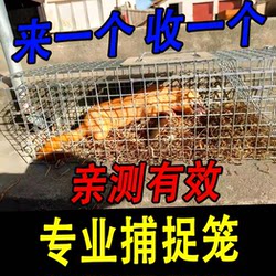 Automatic Foldable Pedal-Type Capture Cage for Catching and Protecting Chickens, Cats, Dogs, and Mice in the Home