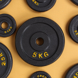 Dumbbell Plates, Black Painted Pure Iron Solid Discs, Weights 0.5/1.25/2.5/5kg, Arm Muscle Training Fitness Dumbbells