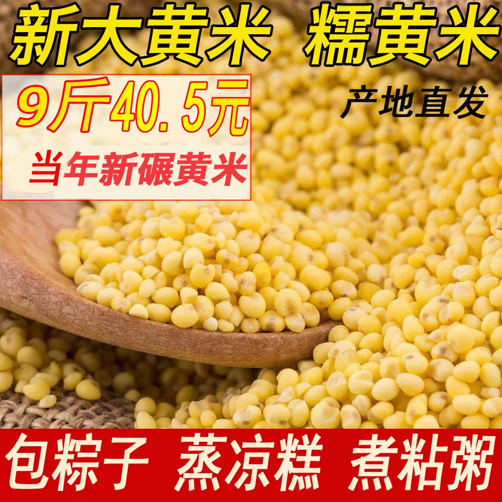 新大黄米当年坝上黏黄米黍米农家黄糯米包棕