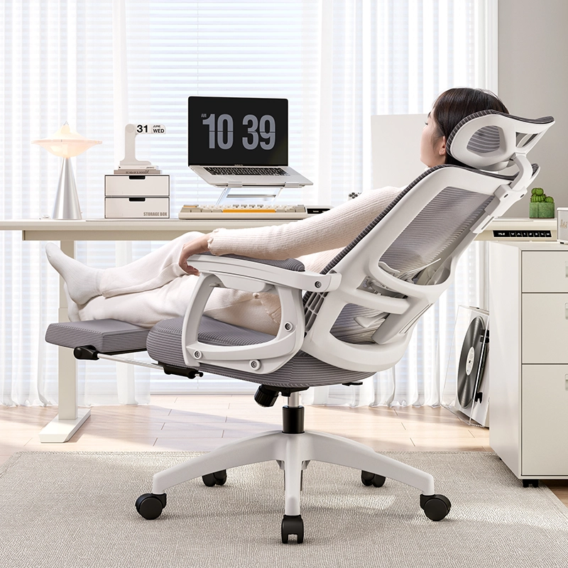 mua ghế công thái học tại Sóc Trăng