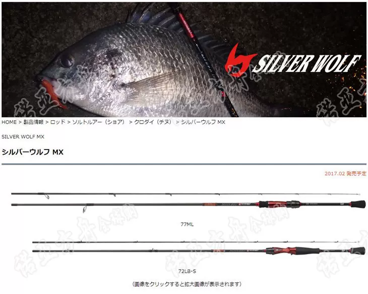 黑鯛專用竿DAIWA SILVER WOLF MX 日本大和2017新款銀狼根釣竿-Taobao