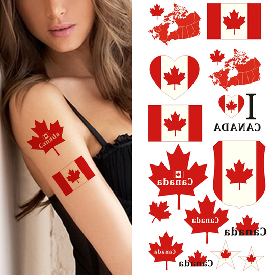ADESIVI STICKER DECAL emblema bandiera bandiera mappa gambia EUR 3,29