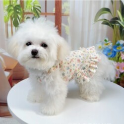 Dog Suspender Thin Dress Cute Princess Dress Bichon Teddy Pet Clothes Breathable Summer Floral Dress