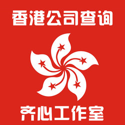 Hong Kong Company Shareholders Directors Capital Contribution Registered Capital Share Capital Formation Mortgage Information Inquiry