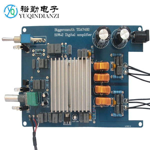 Placa Amplificadora Digital, Potencia De Salida Alta 100 W X 2 Placa Amplificadora Clase D Tamano Mini Para Xr A101 Ylshrf Dual Channel Amplifier