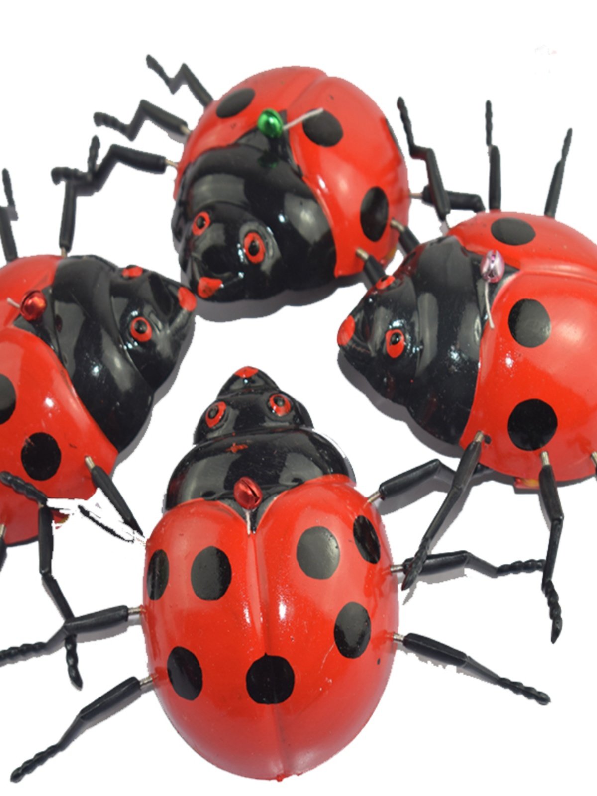 プル式カメのおもちゃ - はうカメのプラスチック製のおもちゃ