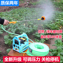 Agricultural Electric Sprayer, Portable Rechargeable Fruit Tree Sprayer, Water Pump, Car Washing Machine, High-Pressure Diaphragm Dual-Pump Machine