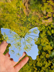 Acrylic Four Seasons Flower Language Uses Butterflies to Define a New Era of Outdoor Selfies