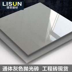 Engineering Tiles Pure Gray Deep and Light Gray Tiles Polished Tiles Vitrified Tiles 800X800 Floor Tiles 600X600 Floor Tiles